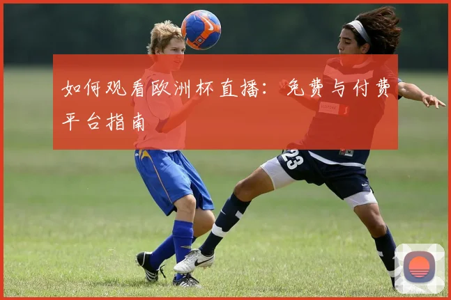 如何观看欧洲杯直播：免费与付费平台指南