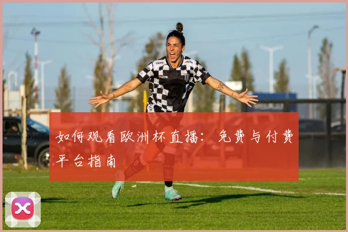如何观看欧洲杯直播：免费与付费平台指南