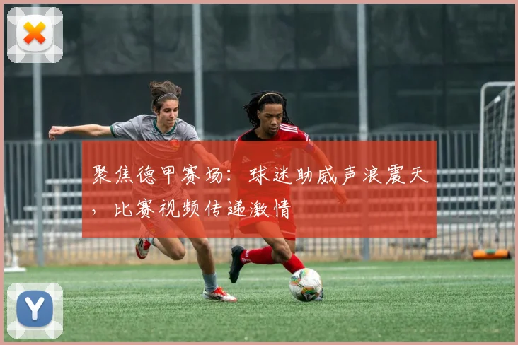 聚焦德甲赛场:球迷助威声浪震天,比赛视频传递激情
