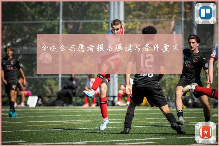 全运会志愿者报名通道与条件要求